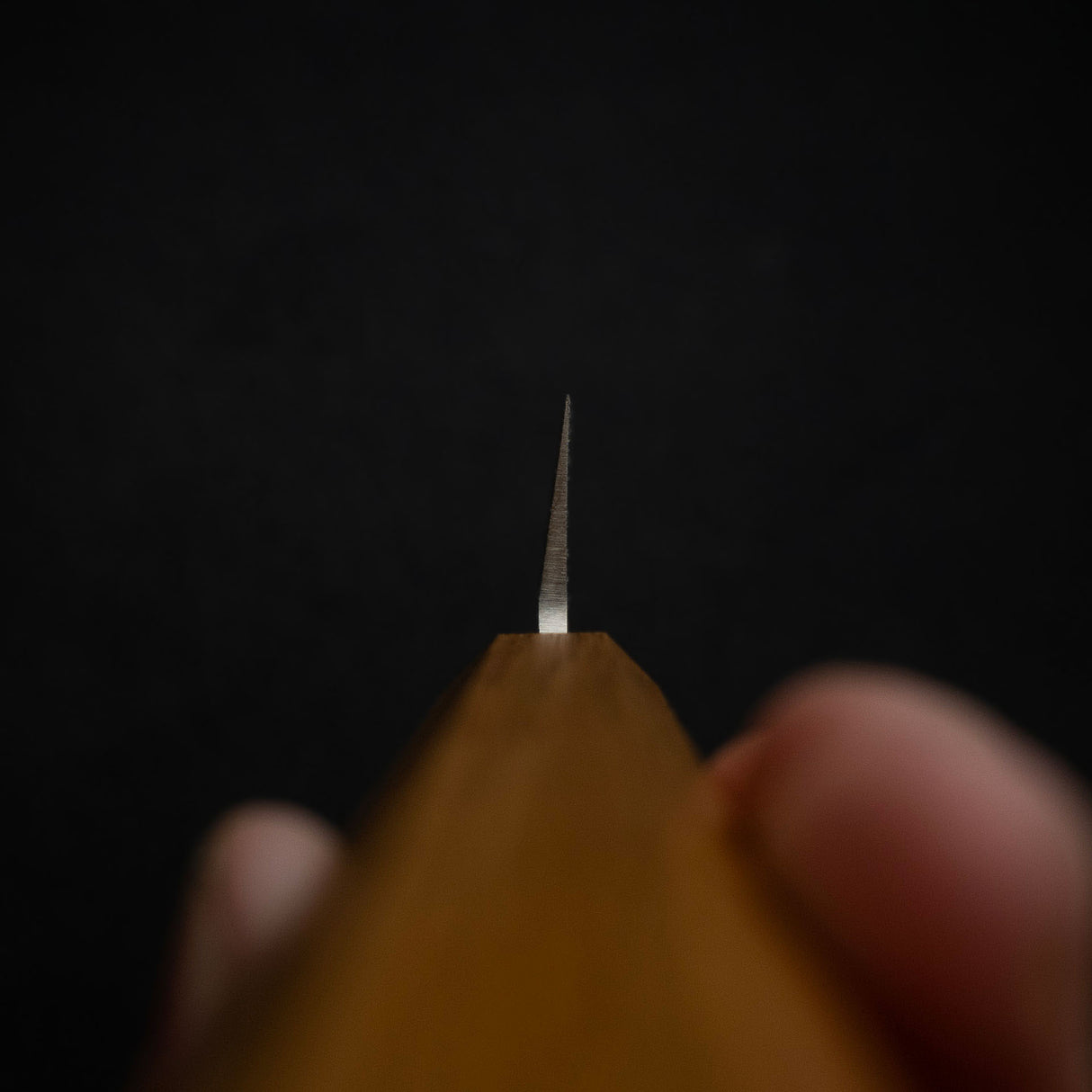 Tsunehisa AUS8 Yanagiba 300mm Monosteel Kashi