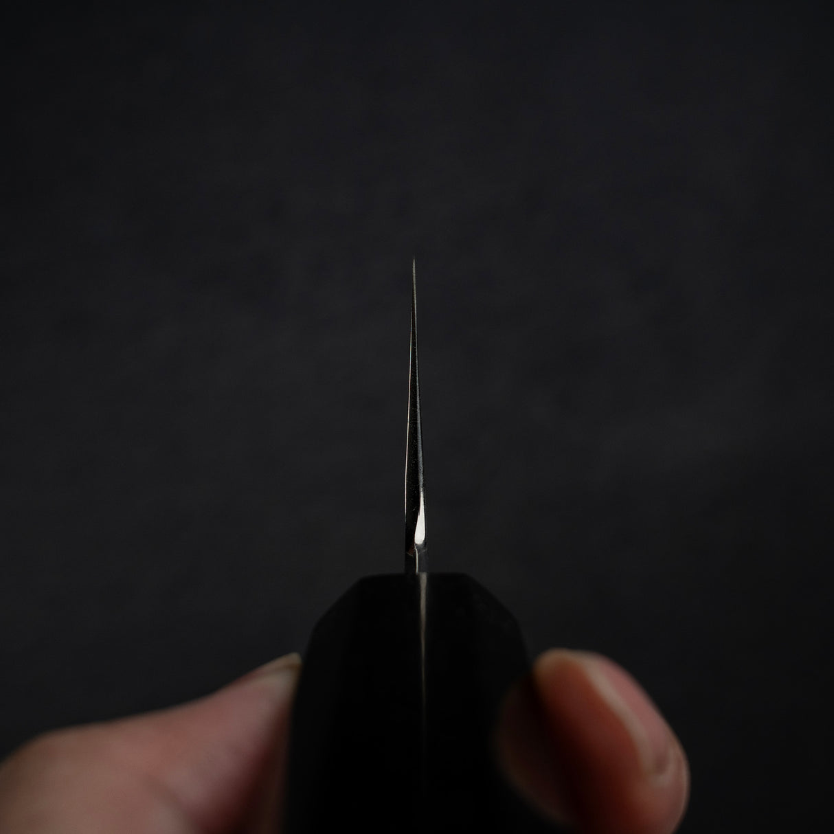 Nakagawa Ginsan Wide Bevel Kasumi Gyuto 210mm Ebony Handle