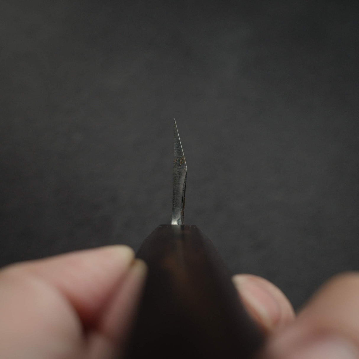 하츠코코로 x 묘진 시라사기 백2강 좌손용 미오로시 데바(생선손질칼) 210mm