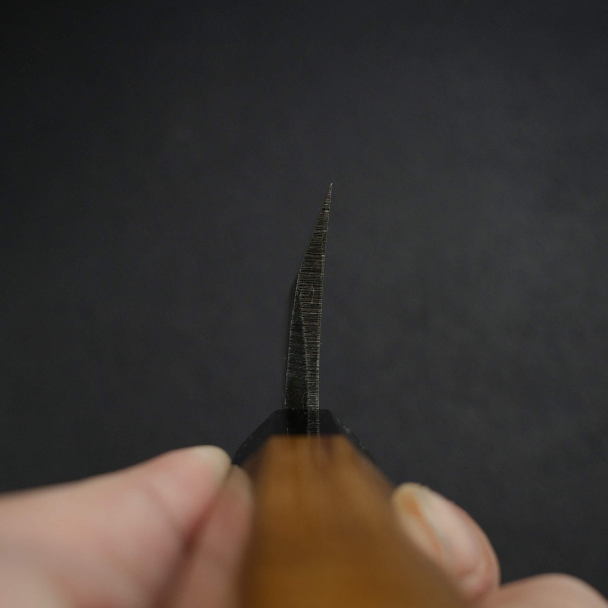 묘진 리키 x 하츠코코로 시라사기 청2강 쿠로우치 K팁 데바(생선손질칼) 180mm