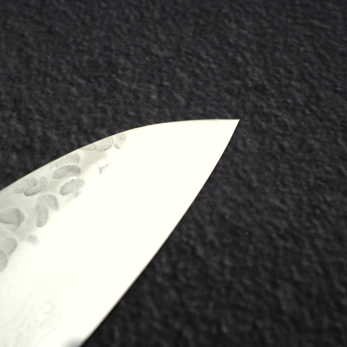 Sakai Takayuki VG10 Gyuto 240mm (9.4") 33 Layer Hammered Damascus