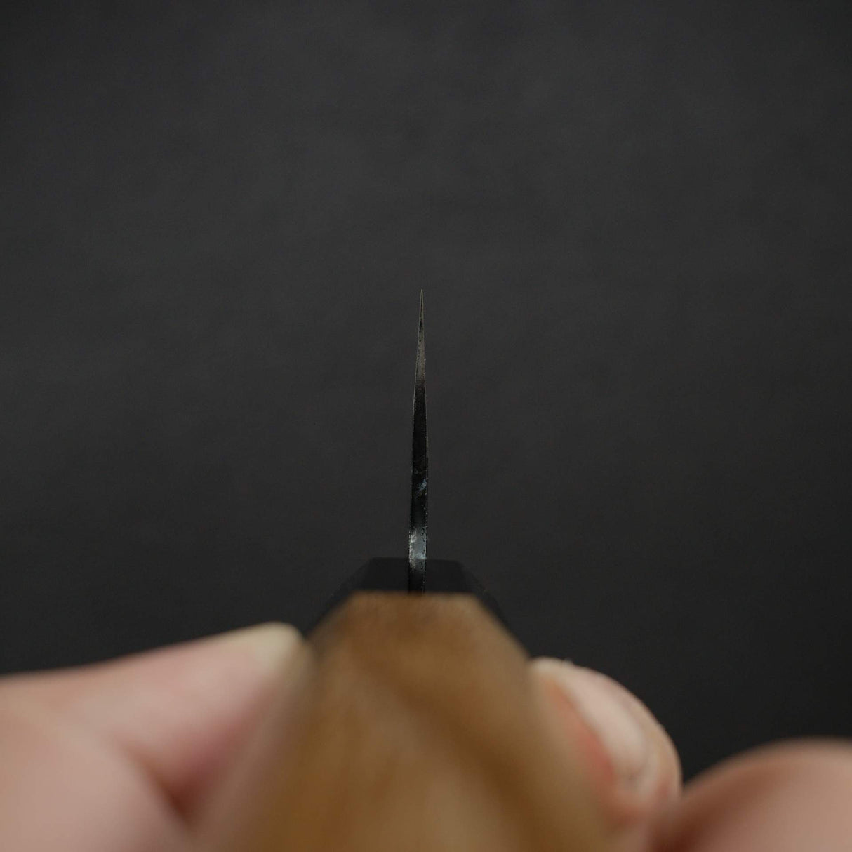 카모 시로 하모노 AS 쿠로우치 K팁 규토(셰프나이프) 210mm