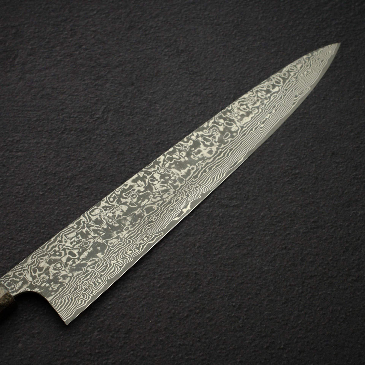 Takeshi Saji SG2 Black Damascus Sujihiki 270mm Birchwood Handle w/ Guard