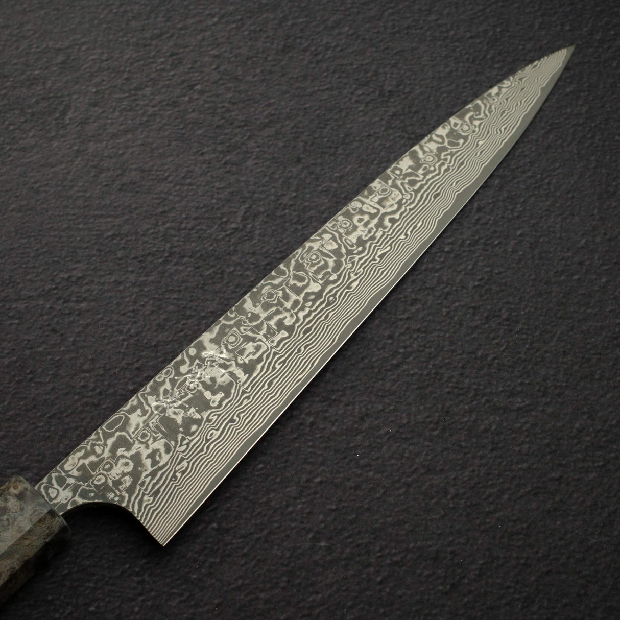 Takeshi Saji SG2 Black Damascus Sujihiki 240mm Birchwood Handle