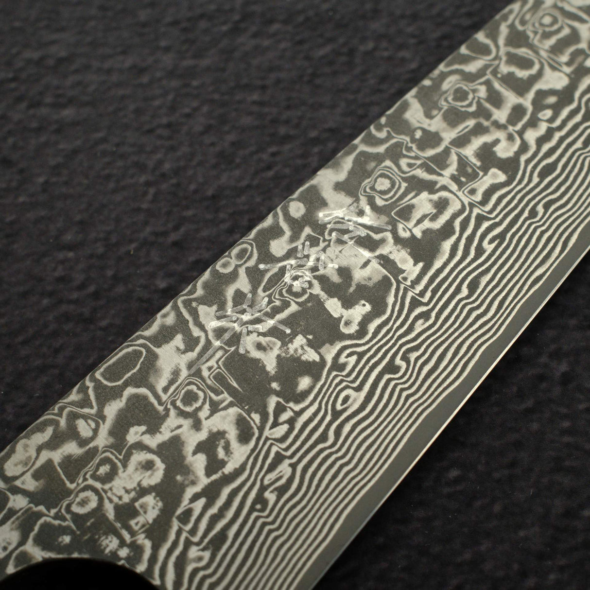 Takeshi Saji SG2 Black Damascus Sujihiki 240mm Birchwood Handle