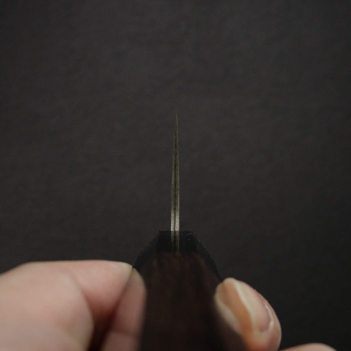 사지 타케시 SG2 블랙 다마스커스 규토(셰프나이프) 210mm 로즈우드 핸들