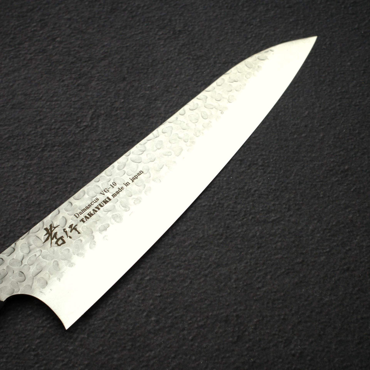 Sakai Takayuki VG10 Gyuto 210mm (8.9") 33 Layer Hammered Damascus