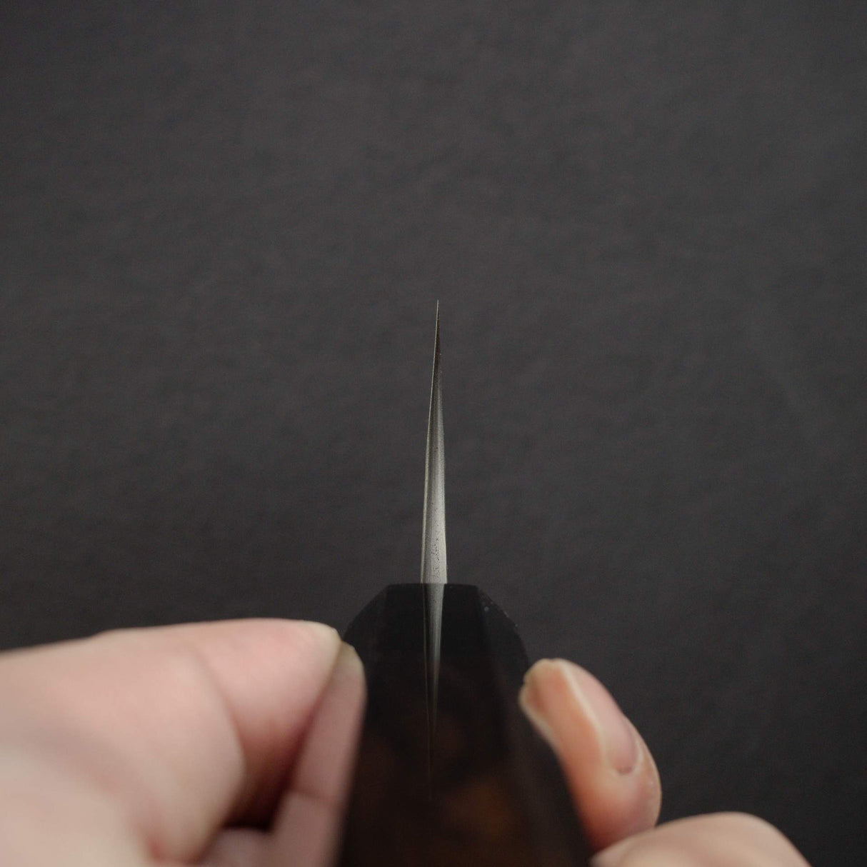 마사카게 유키 백2강 스텐클래드 규토(셰프나이프) 210mm