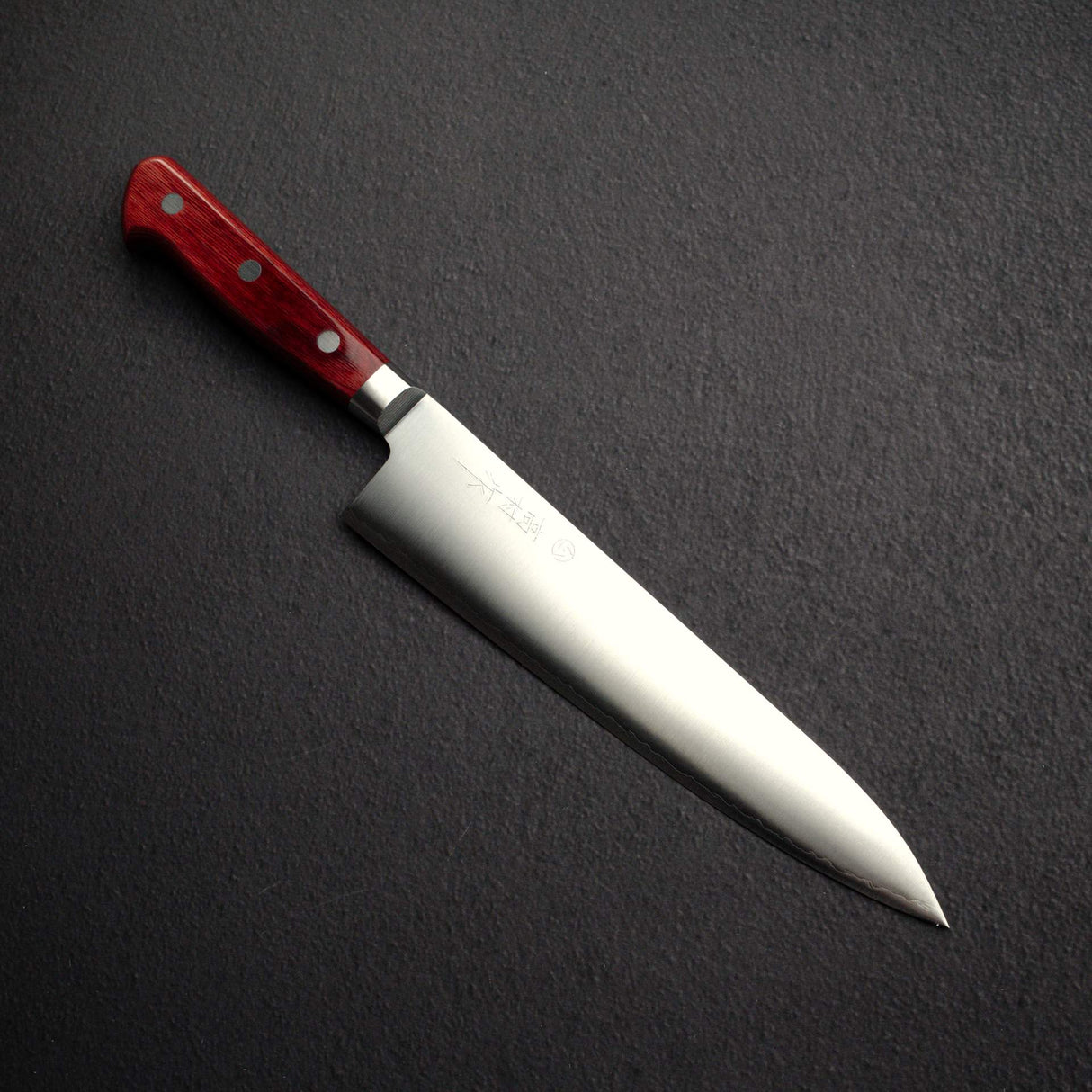Takamura SG2 Migaki Gyuto 210mm