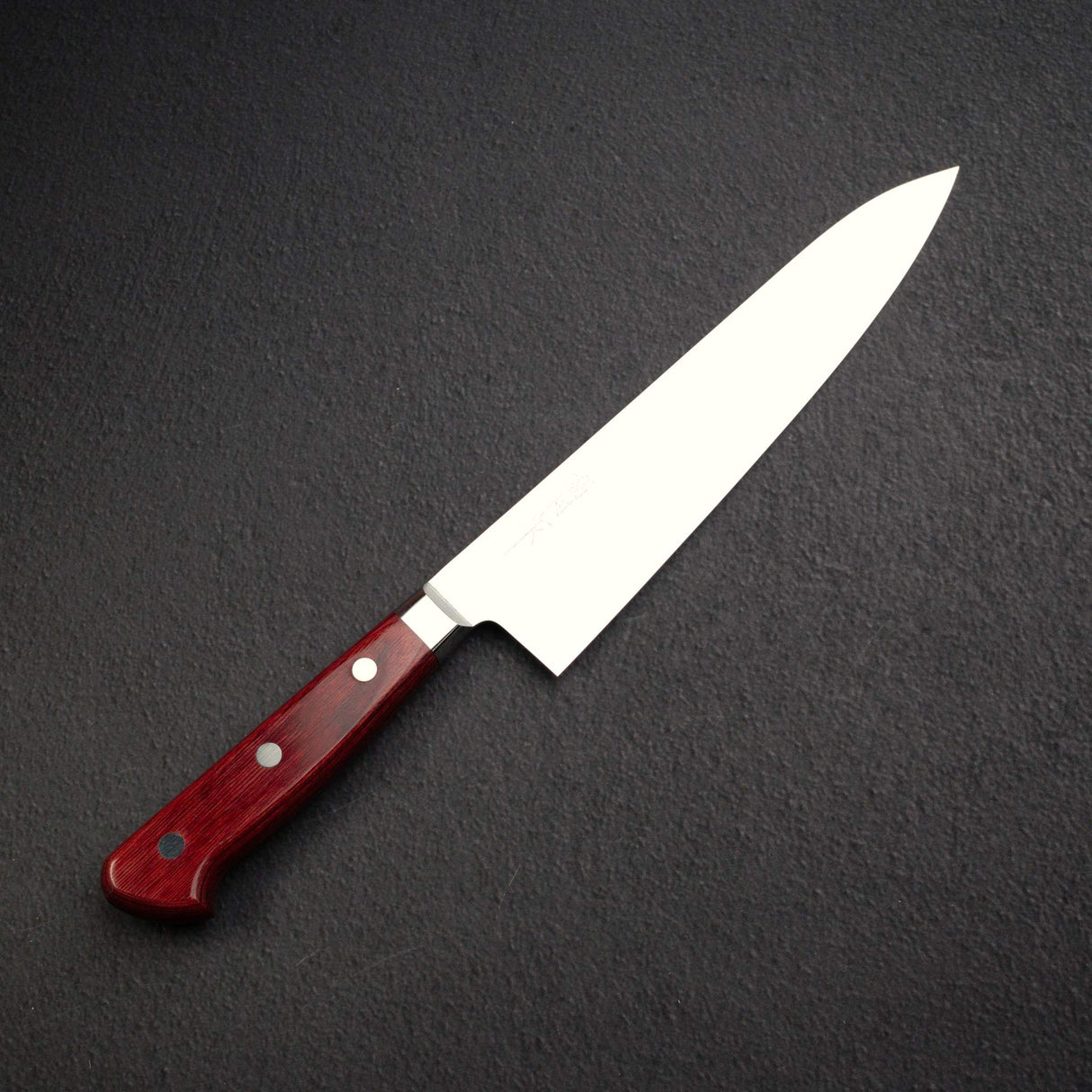 Takamura SG2 Migaki Gyuto 210mm