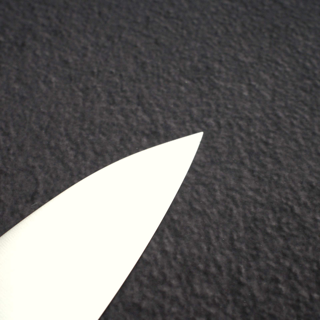 Takamura SG2 Migaki Gyuto 210mm