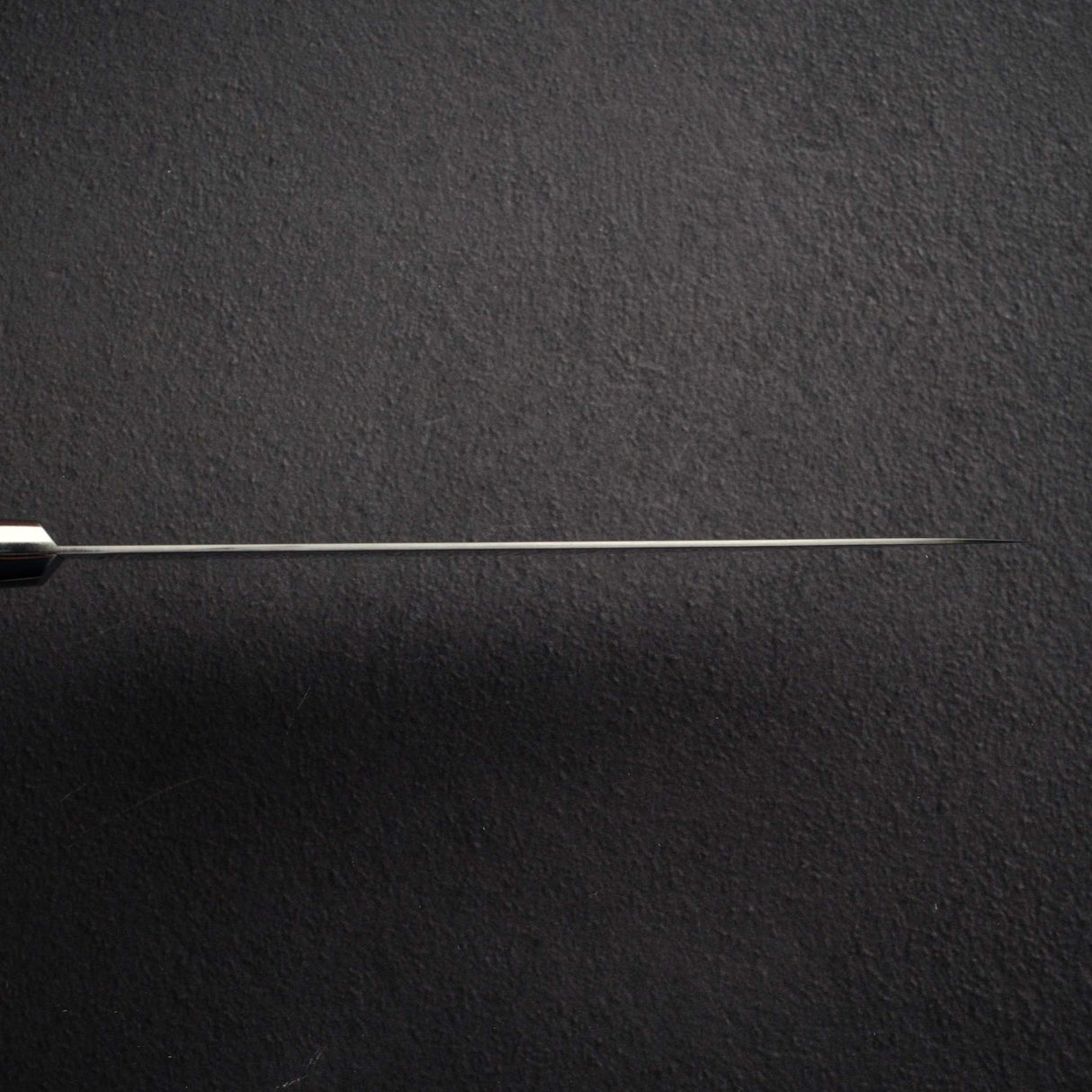 Takamura SG2 Migaki Gyuto 210mm