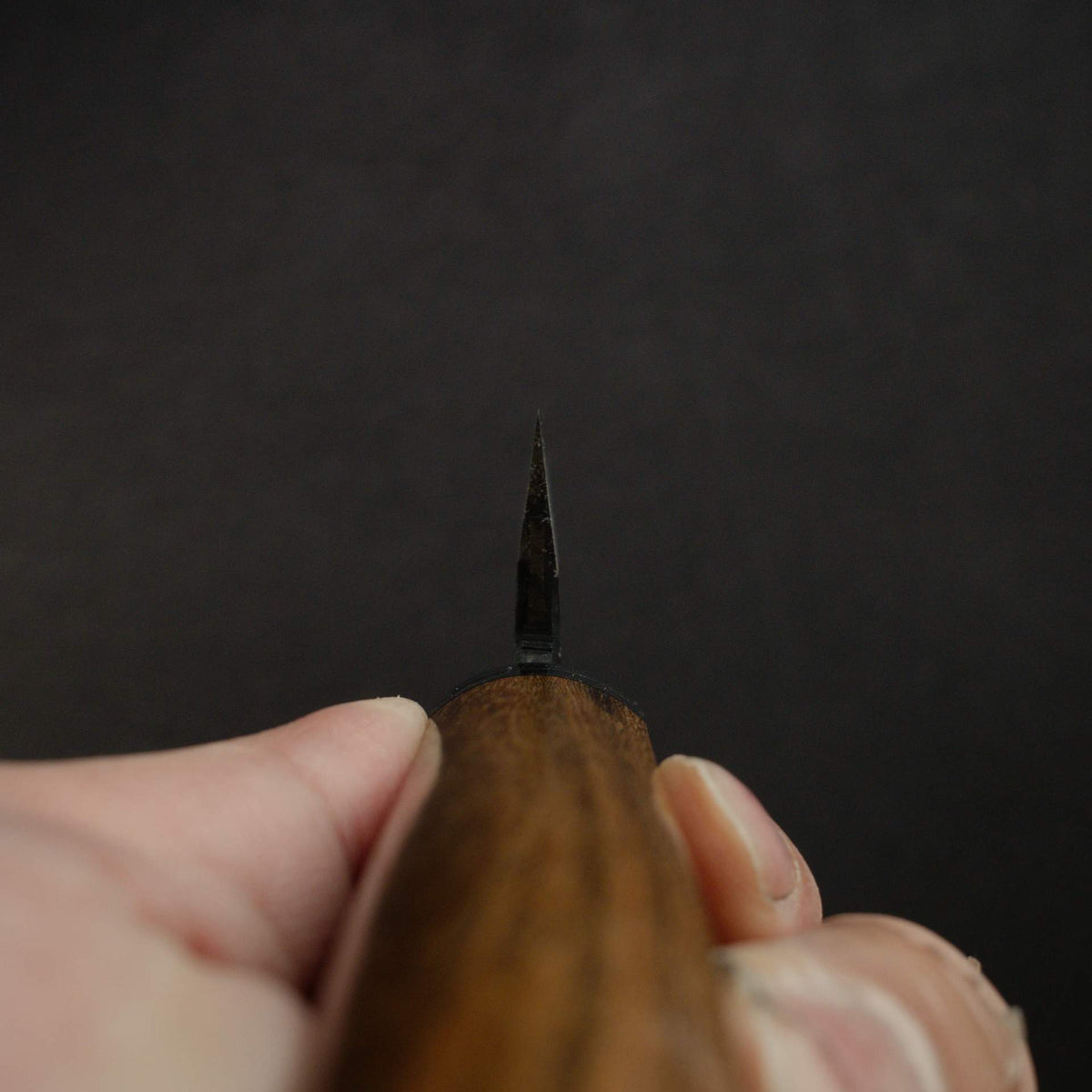 Tsunehisa Blue 2 "Samurai" Sakimaru Sujihiki 270mm, Nenox-style Handle