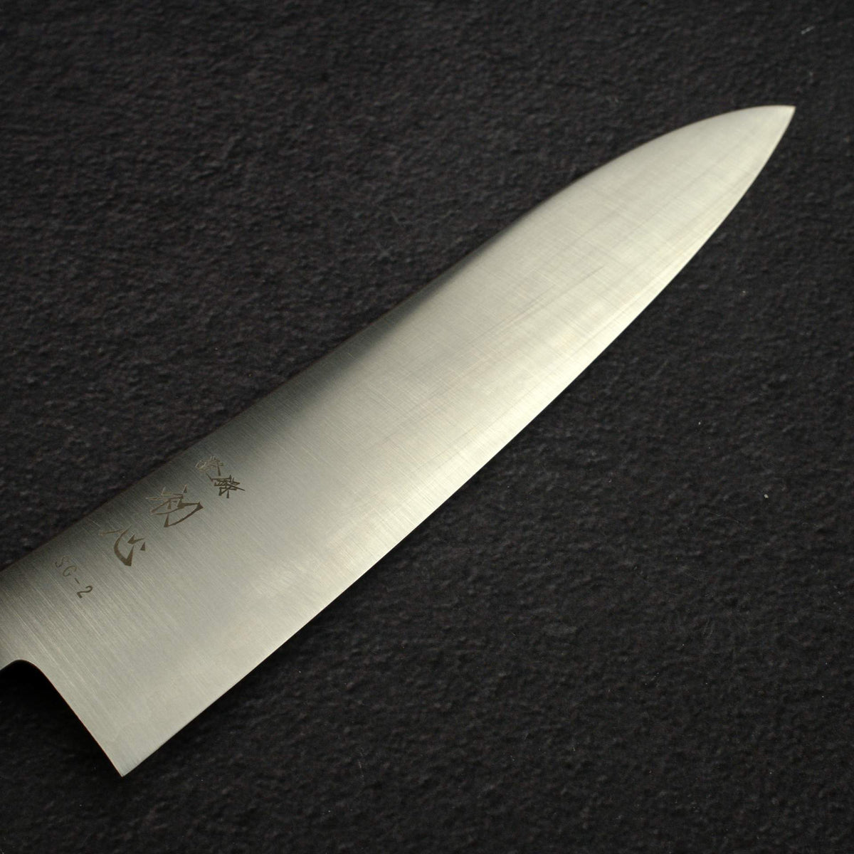 Hatsukokoro Hayabusa SG2 Migaki Gyuto 210mm