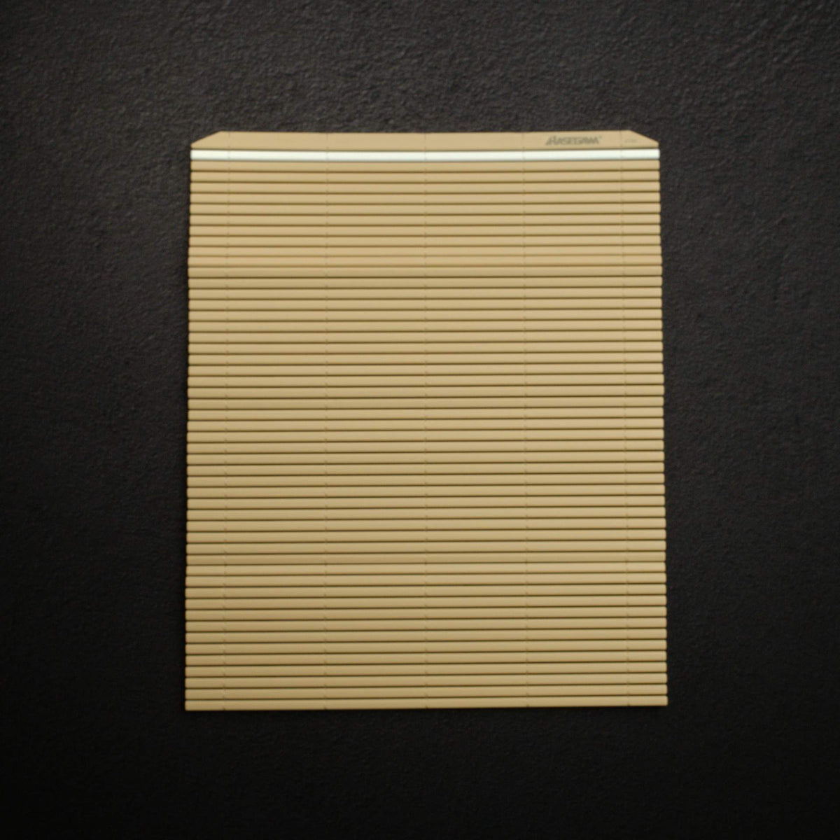Hasegawa Anti-Bacterial Makisu Sushi Mat