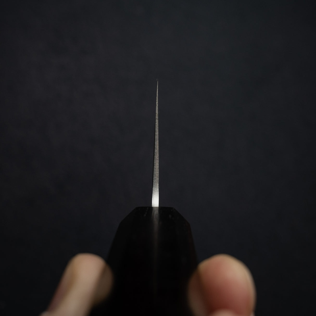 하츠코코로 긴레이 은삼강 나시지 규토(셰프나이프) 210mm 에보니 핸들