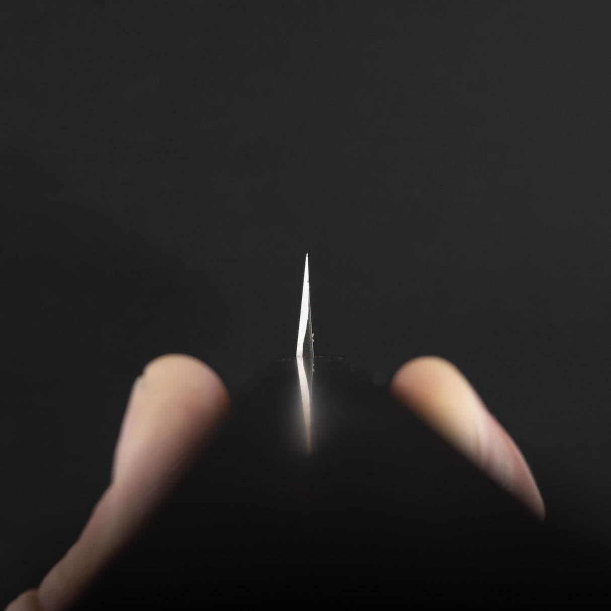 하츠코코로 x 묘진 시라사기 은삼강 K팁 야나기바(사시미칼) 300mm