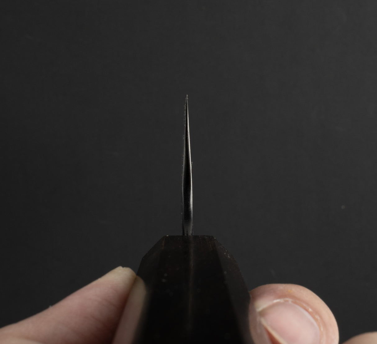 니가라 하모노 SG2 쿠로우치 츠치메 규토(셰프나이프) 210mm 에보니 핸들