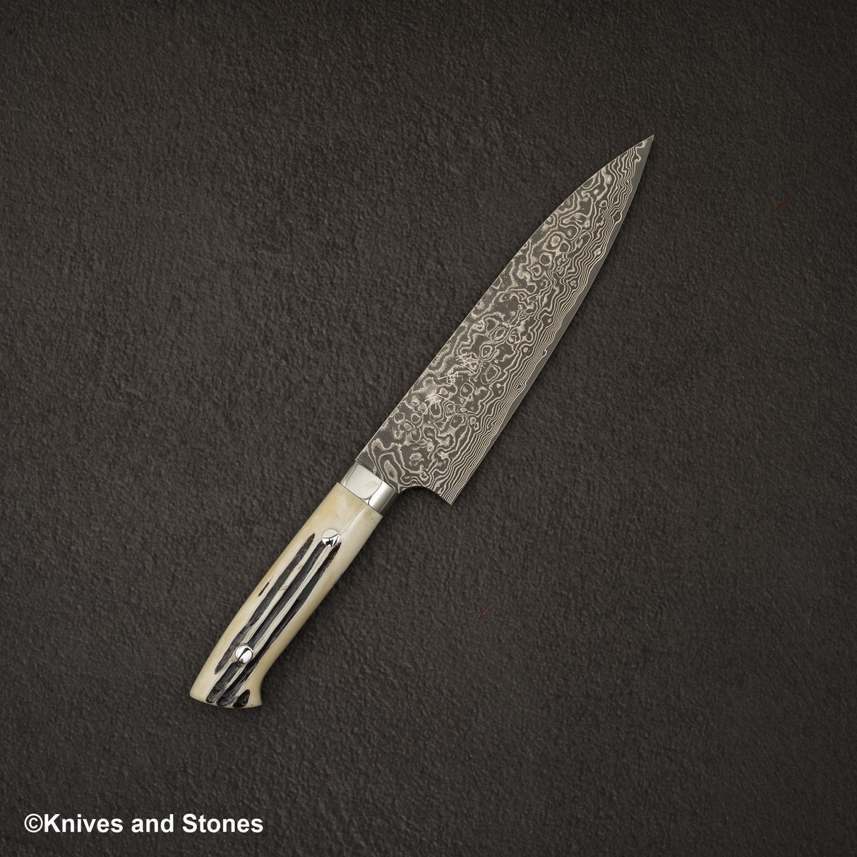 사지 타케시 SG2 블랙 다마스커스 규토(셰프나이프) 180mm 스태그 핸들