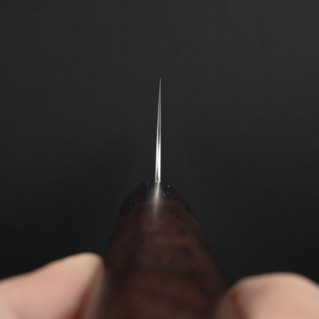 시바타 코우테츠 SG2 K팁 규토(셰프나이프) 210mm