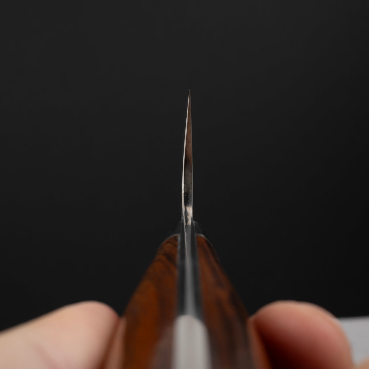 사지 타케시 SG2 블랙 다마스커스 분카 180mm 아이언우드 핸들