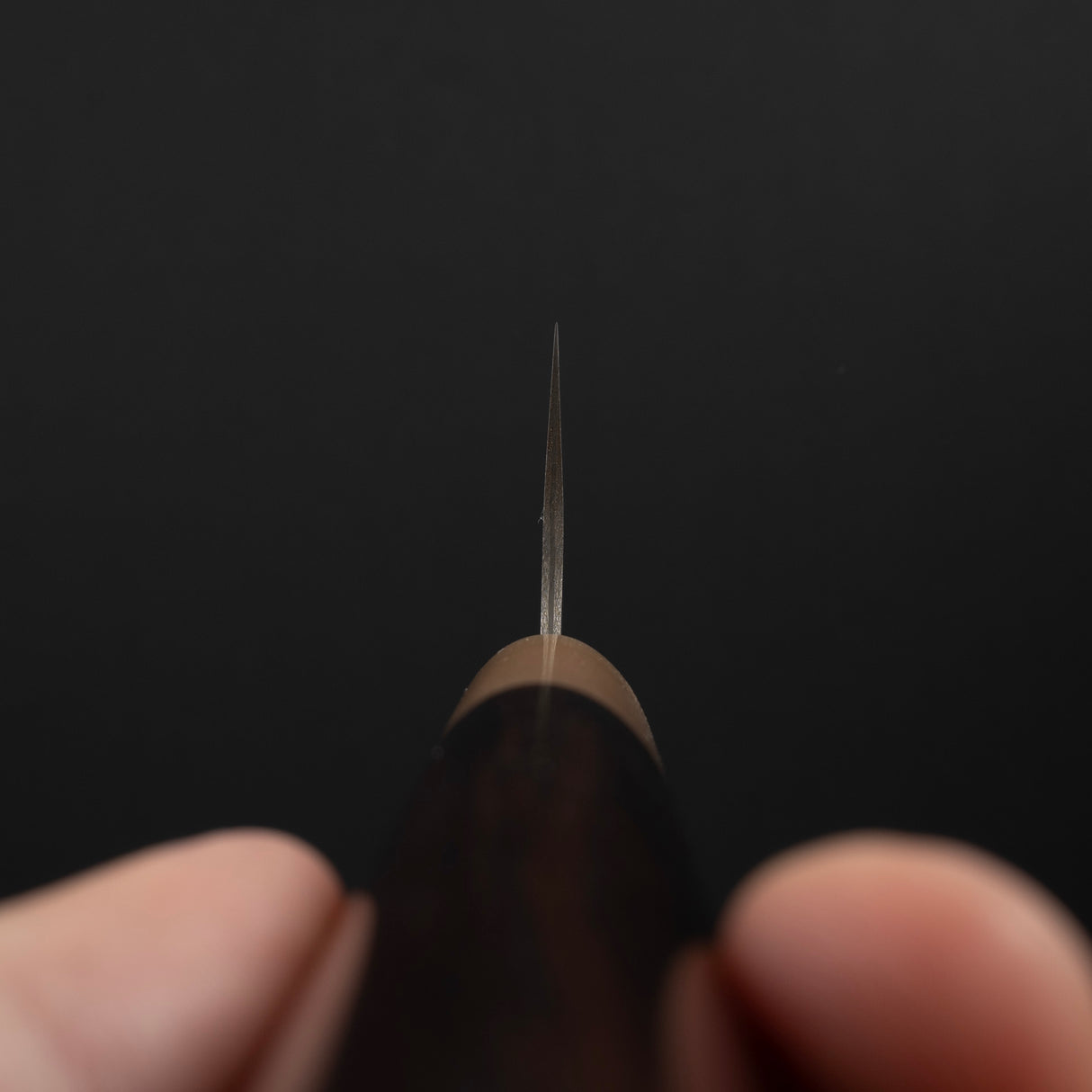 사지 타케시 SG2 블랙 다마스커스 규토(셰프나이프) 180mm 하트형 아이언우드 핸들