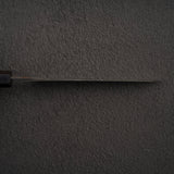 Anryu Aogami Super Hammered Kurouchi Bunka 170mm