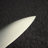 Kei Kobayashi SG2 Migaki Gyuto 210mm, Ebony Handle