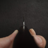 Kei Kobayashi SG2 Migaki Gyuto 210mm, Ebony Handle