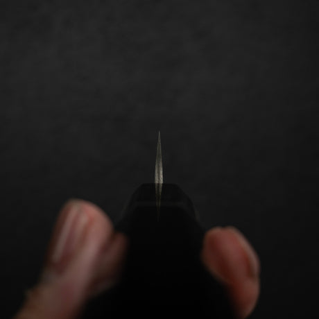 사지 타케시 SG2 블랙 다마스커스 페어링 나이프 90mm