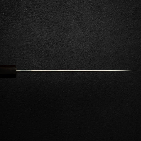 Tetsujin Ginsan Ukiba Gyuto 210mm Ebony Handle