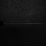 Nakagawa Ginsan Wide Bevel Kasumi Gyuto 210mm Ebony Handle