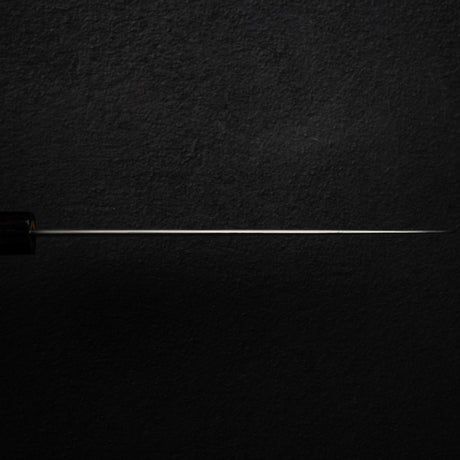 Nakagawa Ginsan Wide Bevel Kasumi Gyuto 210mm Ebony Handle