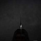 Nakagawa Ginsan Wide Bevel Kasumi K-tip Gyuto 210mm Ebony Handle