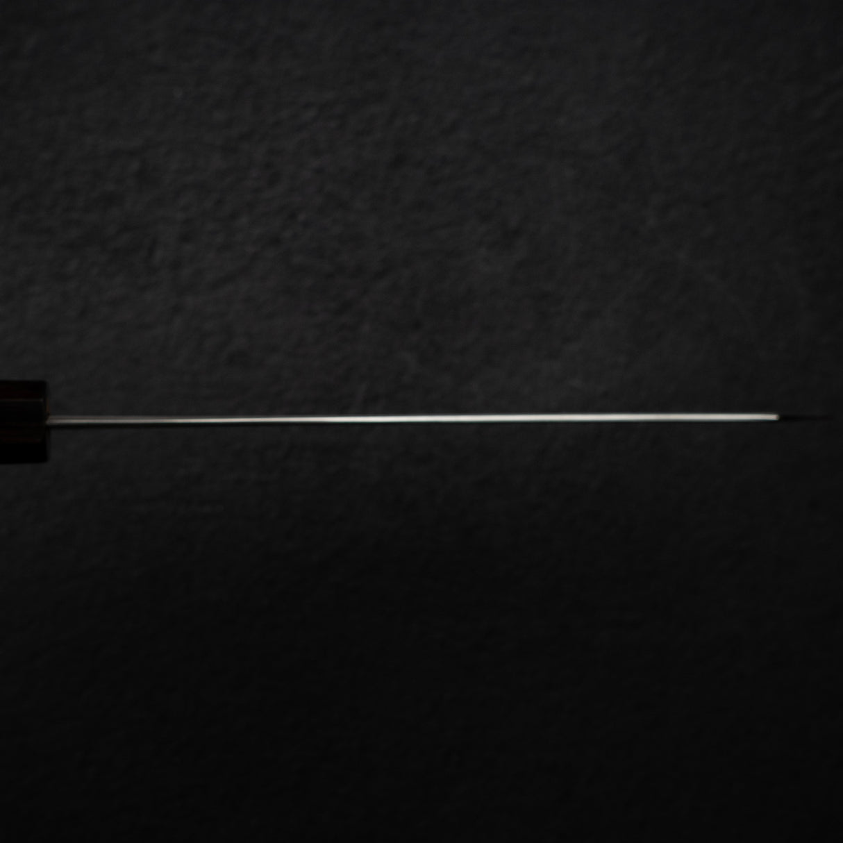 Nakagawa Ginsan Wide Bevel Kasumi K-tip Gyuto 210mm Ebony Handle