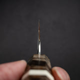 하츠코코로 긴가 ATS34 다마스커스 규토(셰프나이프) 210mm