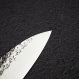 사카이 타카유키 SG2 츠치메 다마스커스 규토(셰프나이프) 210mm