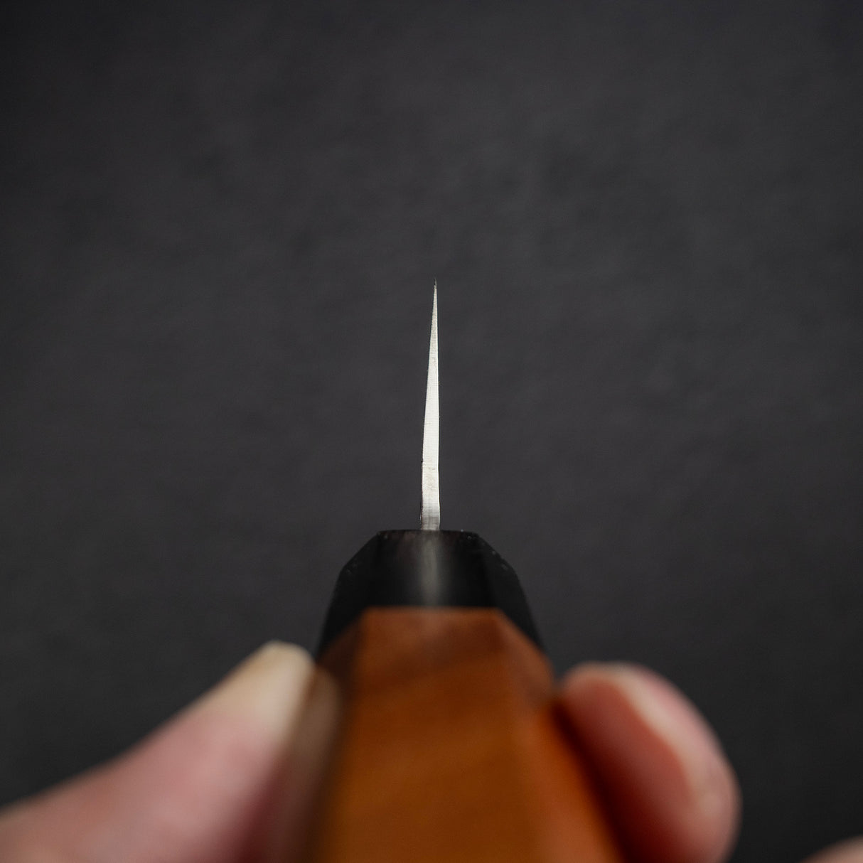 사카이 타카유키 SG2 츠치메 다마스커스 규토(셰프나이프) 210mm