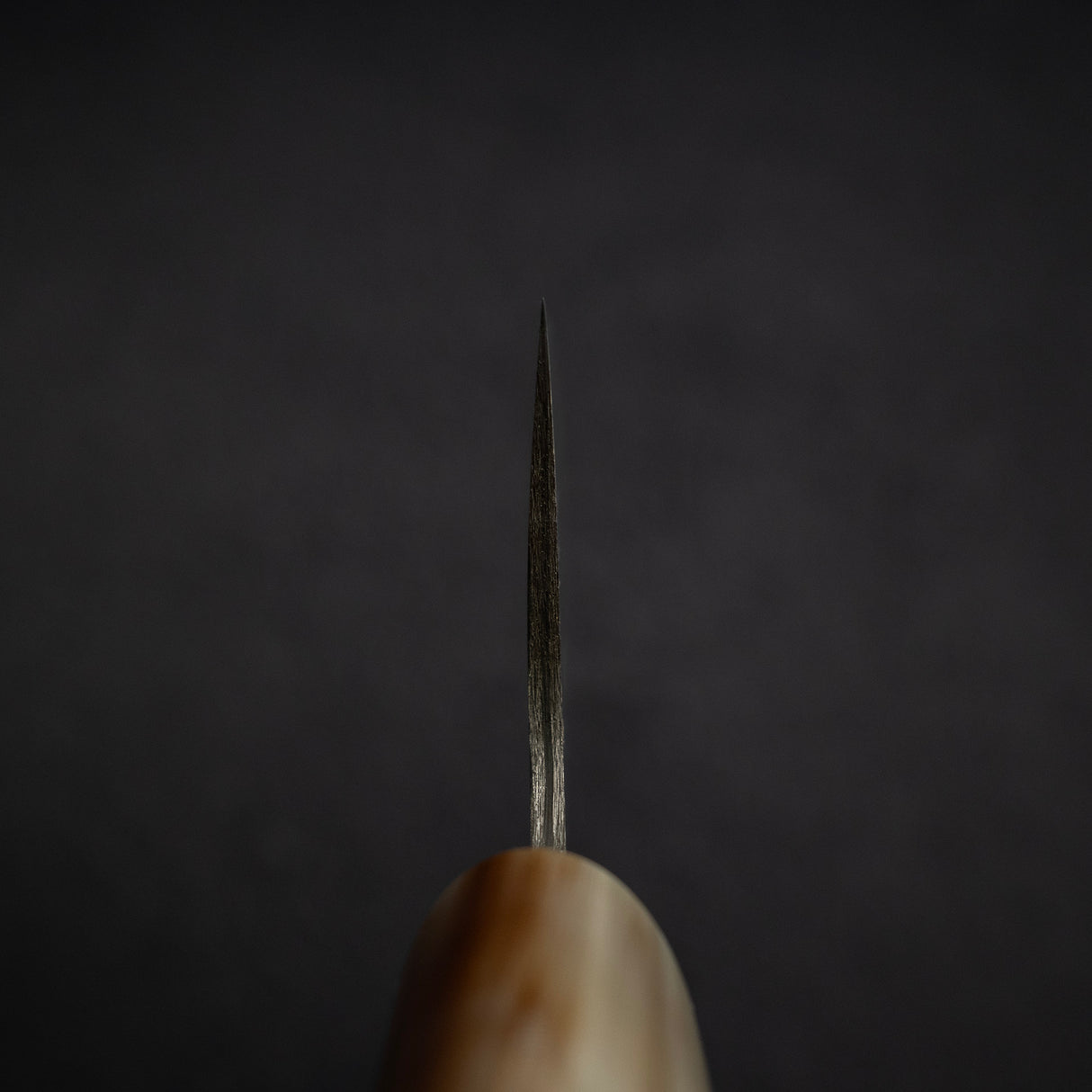 사지 타케시 SG2 쿠로조메 다마스커스 규토(셰프나이프) 210mm 아이언우드 핸들 웬지 사야 포함