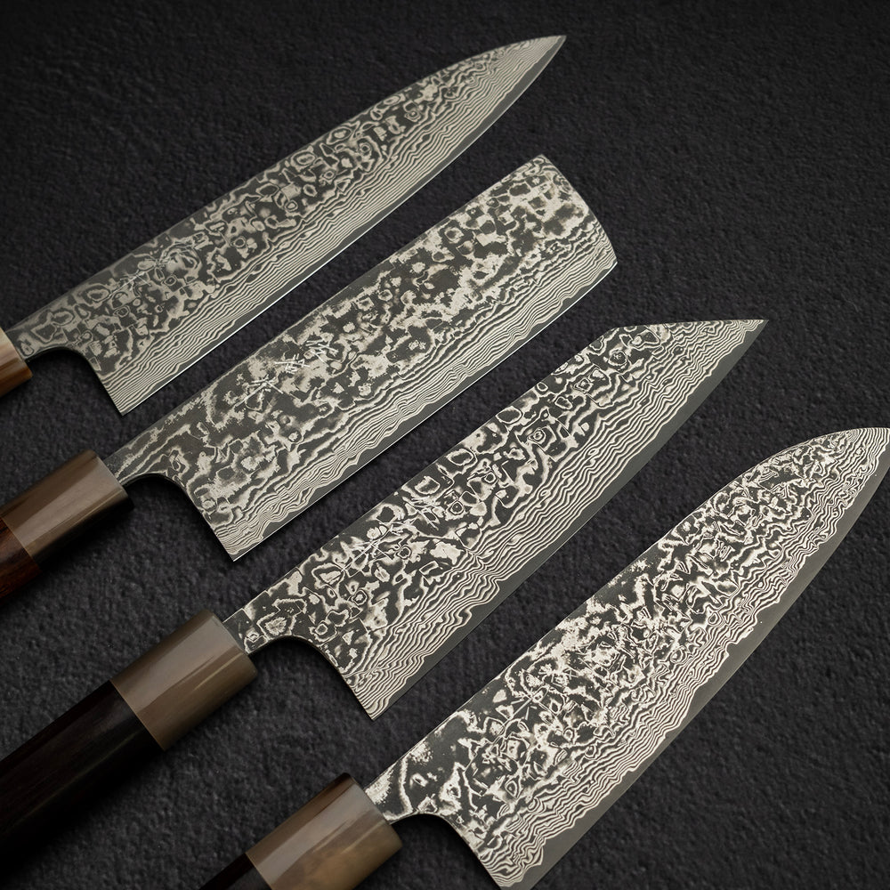 Takeshi Saji SG2 Black Damascus