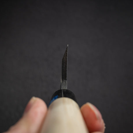 Sakai Takayuki INOX Stainless Deba 165mm (6.5")