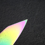 Hatsukokoro Ryuhyo SG2 Damascus Rainbow K-tip Gyuto 210mm