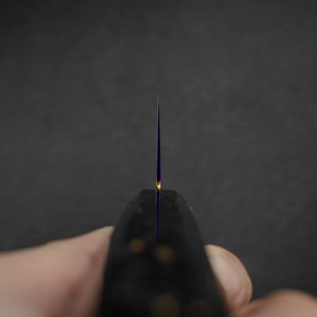 하츠코코로 류효 SG2 다마스커스 레인보우 K팁 규토(셰프나이프) 210mm
