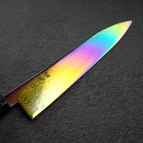 Hatsukokoro Ryuhyo SG2 Damascus Rainbow Gyuto 210mm