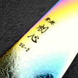 Hatsukokoro Ryuhyo SG2 Damascus Rainbow K-tip Gyuto 240mm