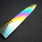 Hatsukokoro Ryuhyo SG2 Damascus Rainbow Gyuto 240mm