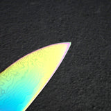 Hatsukokoro Ryuhyo SG2 Damascus Rainbow Gyuto 240mm