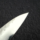 Sakai Takayuki VG10 Sujihiki 240mm (9.4") 33 Layer Hammered Damascus