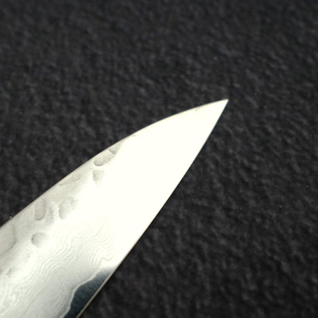 Sakai Takayuki VG10 Sujihiki 240mm (9.4") 33 Layer Hammered Damascus