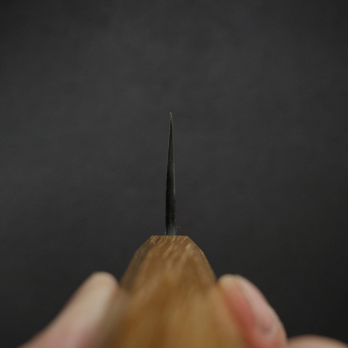 카모 시로 하모노 세이란 AS 쿠로우치 규토(셰프나이프) 240mm